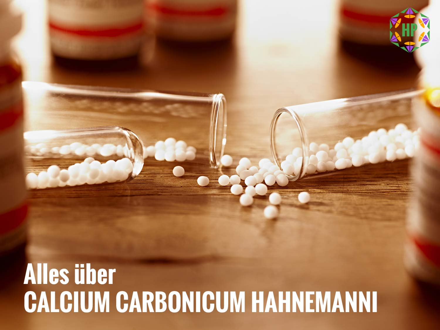 Calcium carbonicum Hahnemanni